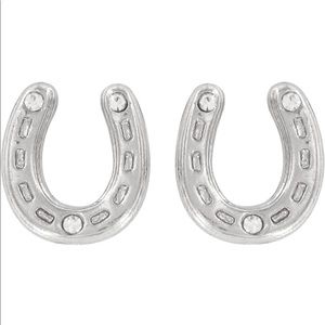 Silver horseshoe earrings